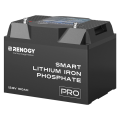 Akumulator Renogy LiFePO4 12V 100Ah Pro Smart z Bluetooth i funkcją samonagrzewania - 1
